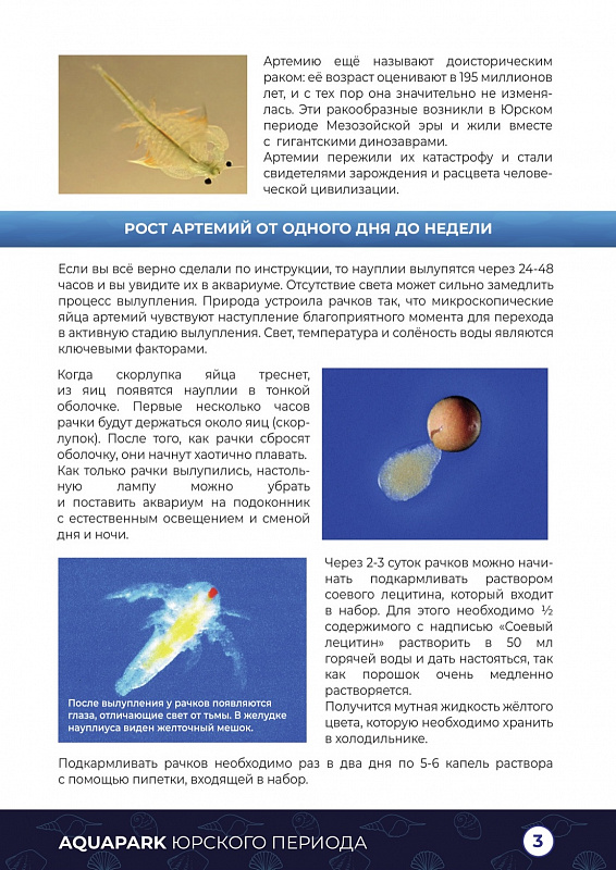 Набор опытов Аквапарк Юрского Периода