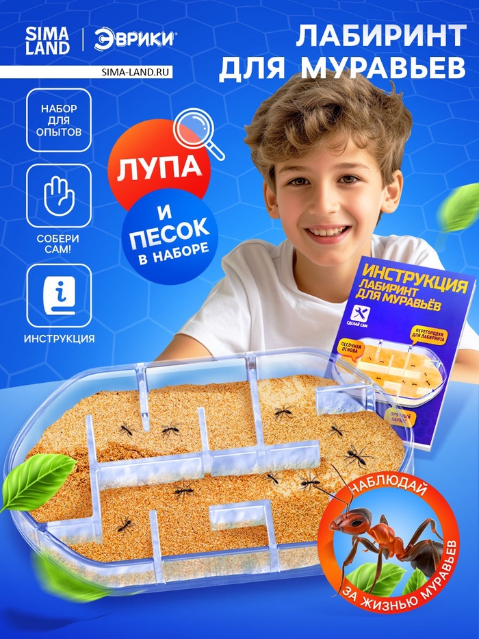 Набор экспериментов Лабиринт для муравьев